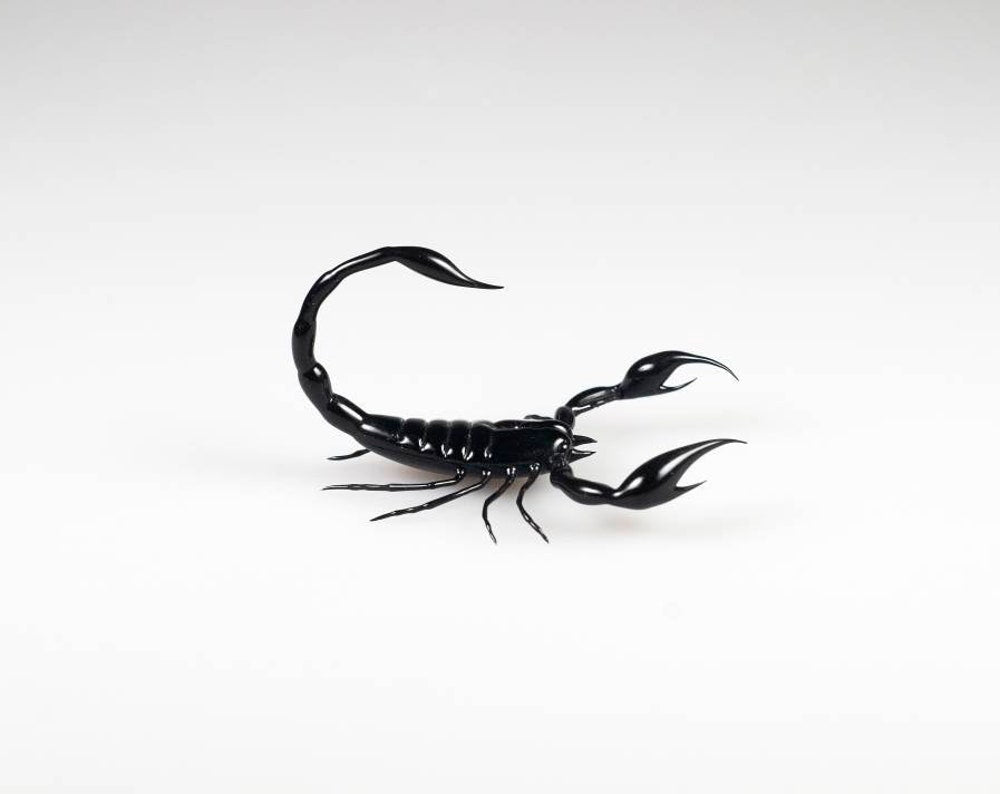 Glass Scorpions