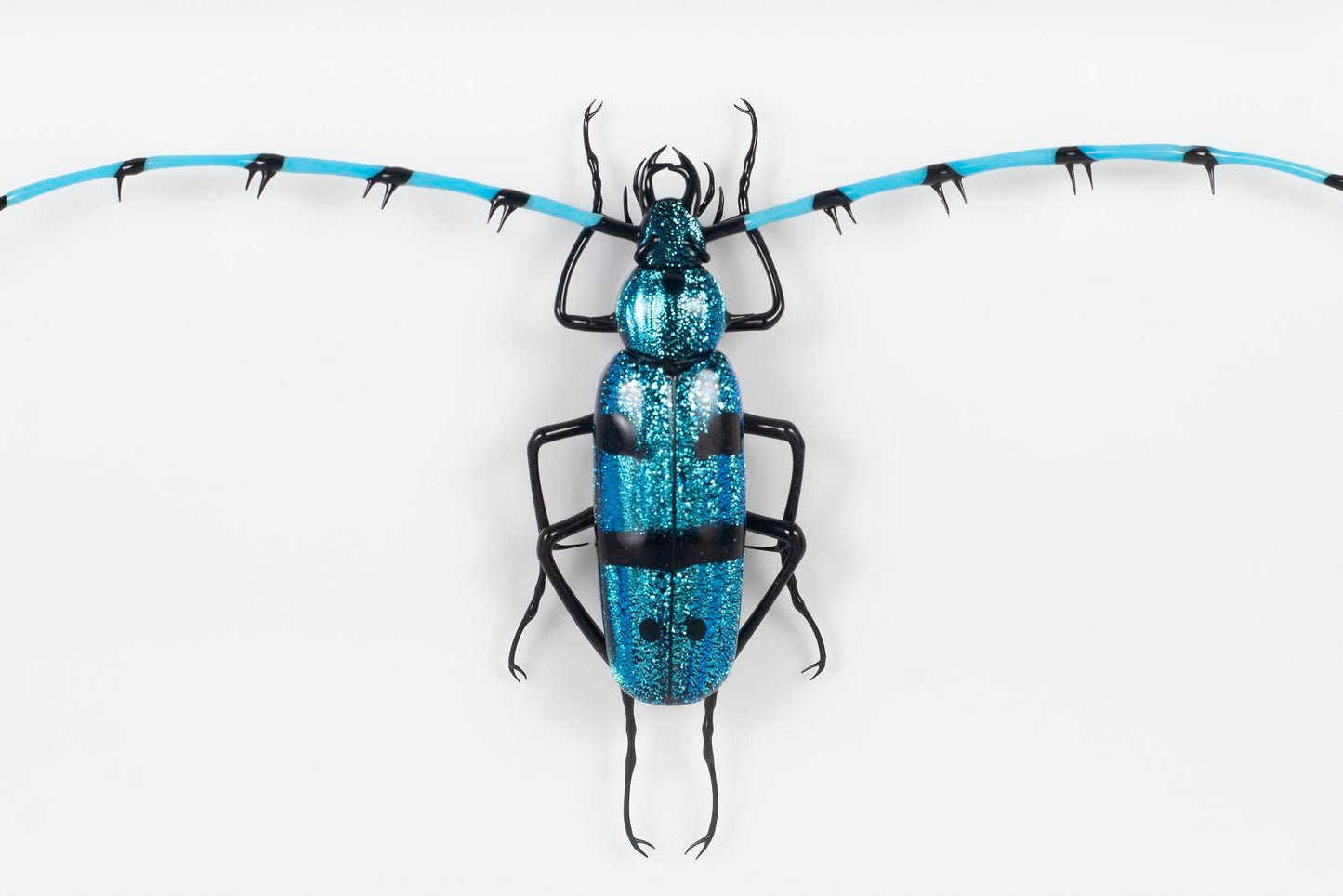 Rosalia alpina