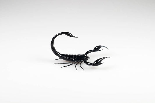 Glass scorpion
