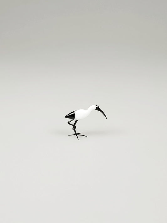 Glass Ibis