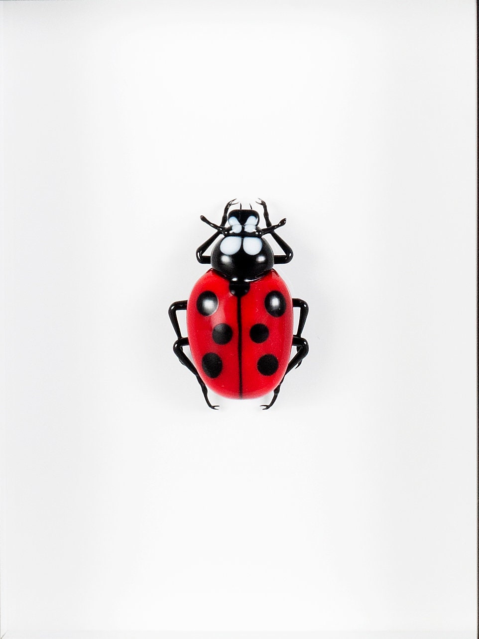 Ladybug