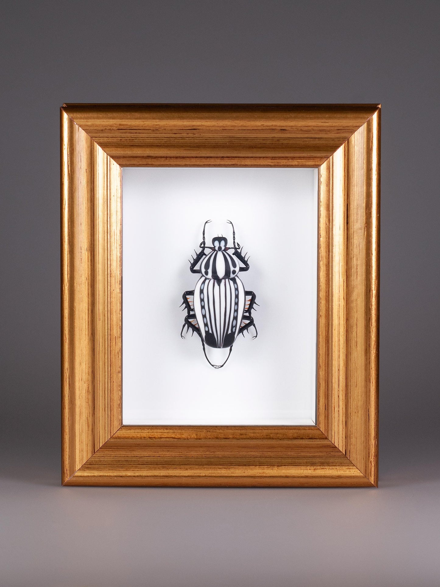 Goliathus orientalis