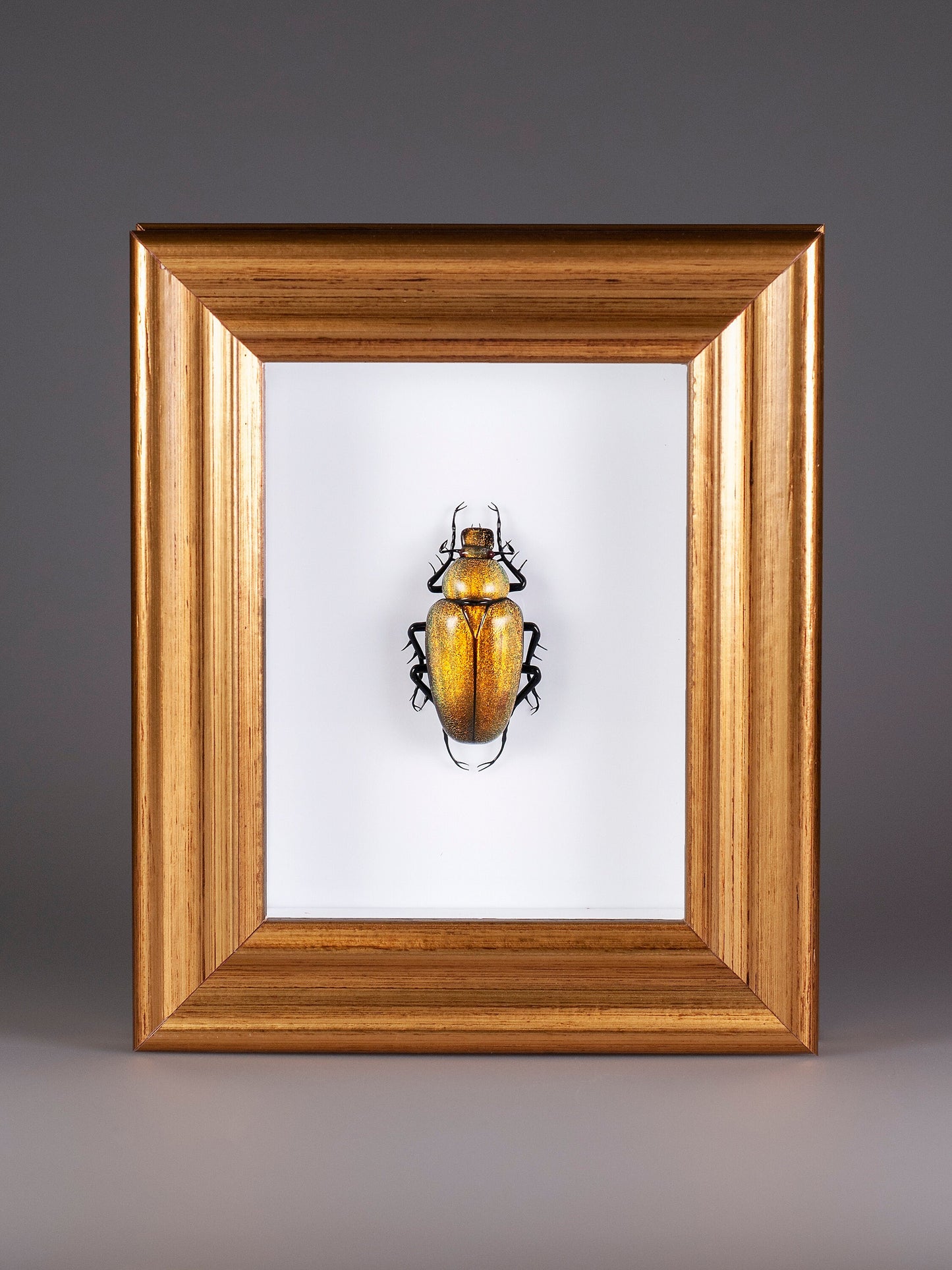 Cetonia aurata (yellow)