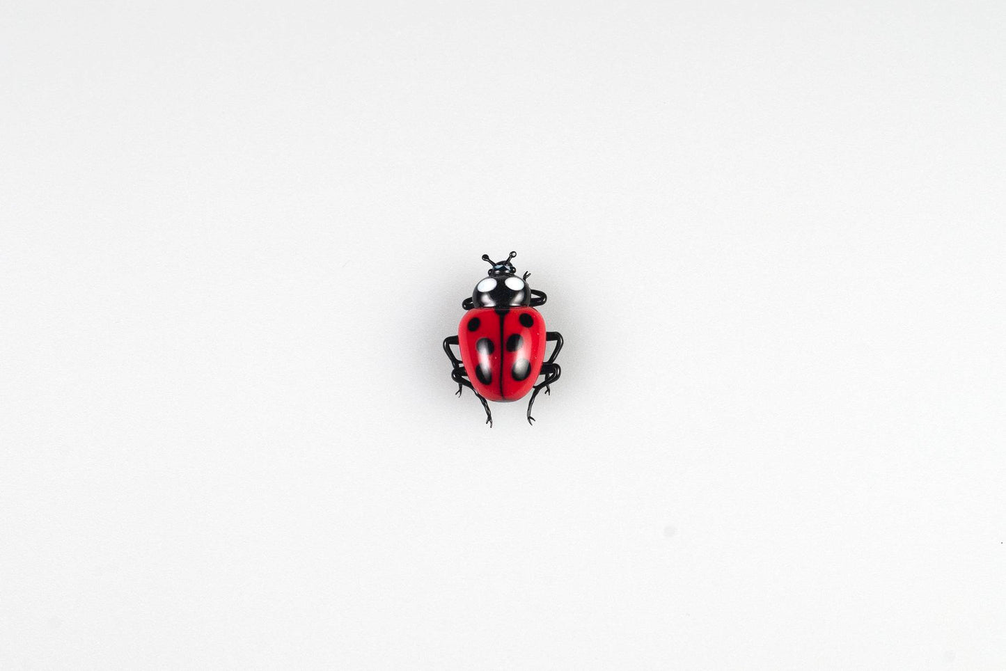 Ladybug