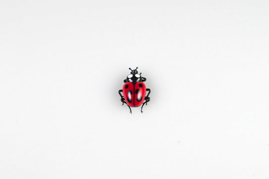Ladybug