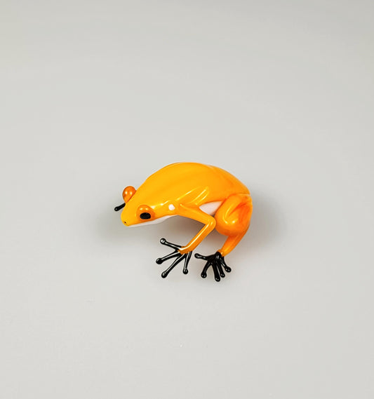 Glass Dart Frog (yellow)